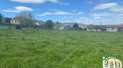 Land of 223 m² in Montbrison (42600)