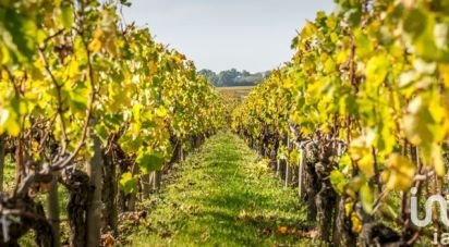 Agricultural land of 44,811 m² in Saint-Bonnet-sur-Gironde (17150)