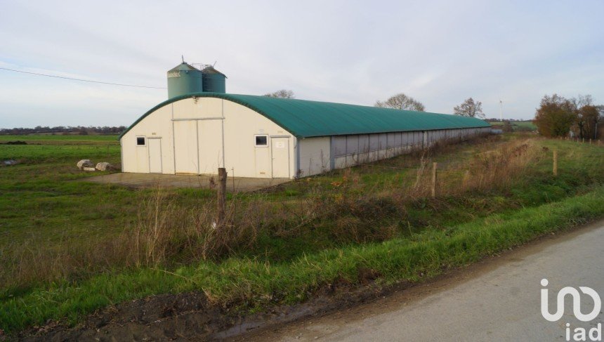 Commercial walls of 1,290 m² in La Chapelle-Glain (44670)