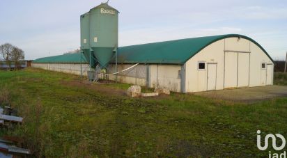 Commercial walls of 1,290 m² in La Chapelle-Glain (44670)