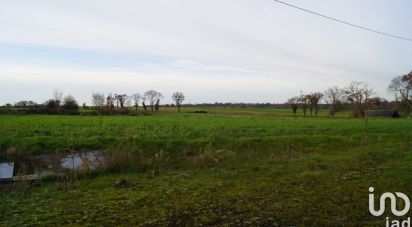 Murs commerciaux de 1 290 m² à La Chapelle-Glain (44670)