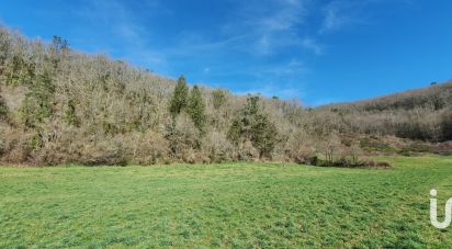 Terrain de 6 109 m² à Monceaux-sur-Dordogne (19400)