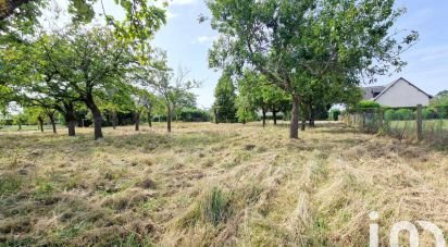 Maison traditionnelle 5 pièces de 105 m² à Saint-Benoît-sur-Loire (45730)