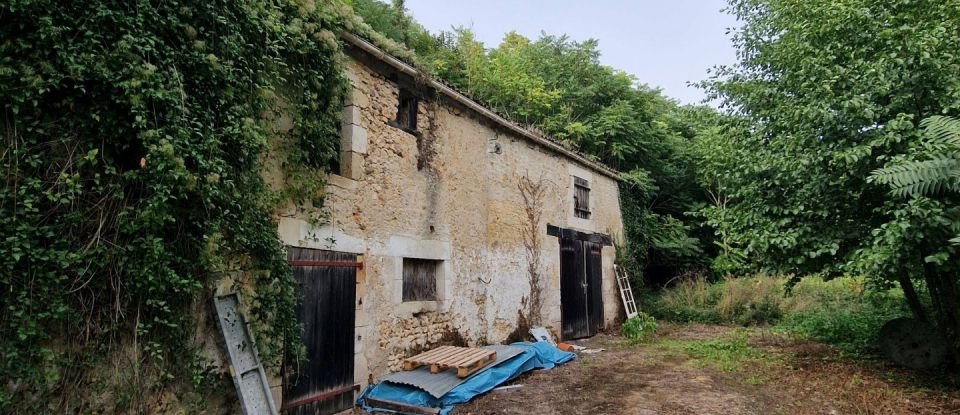 Mill 11 rooms of 298 m² in Lussac-les-Châteaux (86320)