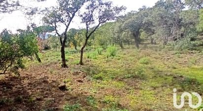 Land of 3,231 m² in Sainte-Maxime (83120)