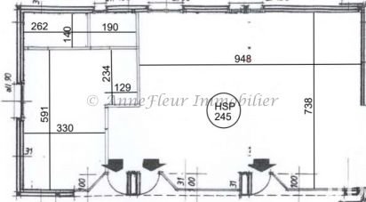 Commercial walls of 100 m² in Rouffiac-Tolosan (31180)