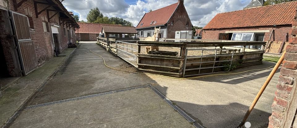 Ferme 7 pièces de 205 m² à Eringhem (59470)