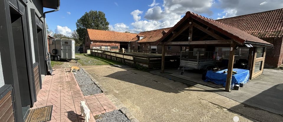 Ferme 7 pièces de 205 m² à Eringhem (59470)