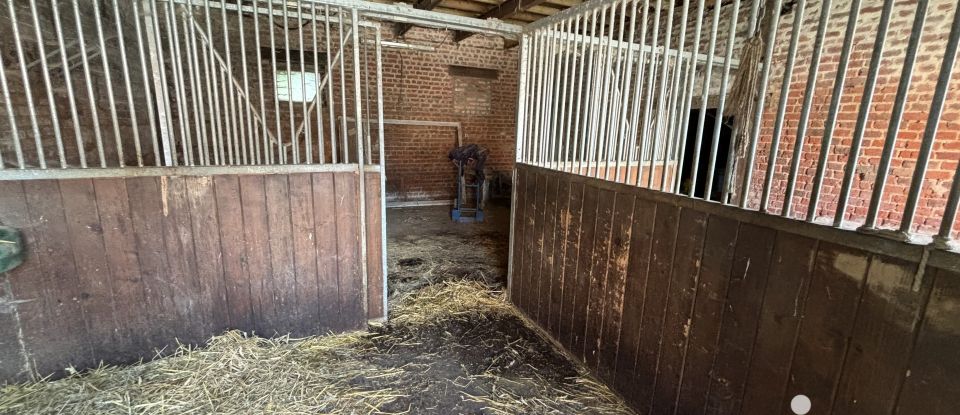 Ferme 7 pièces de 205 m² à Eringhem (59470)