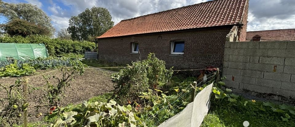 Ferme 7 pièces de 205 m² à Eringhem (59470)