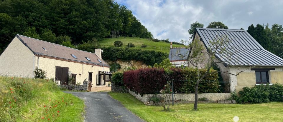 Traditional house 7 rooms of 212 m² in Savigny-sur-Braye (41360)