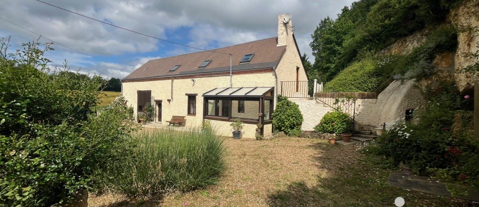 Traditional house 7 rooms of 212 m² in Savigny-sur-Braye (41360)