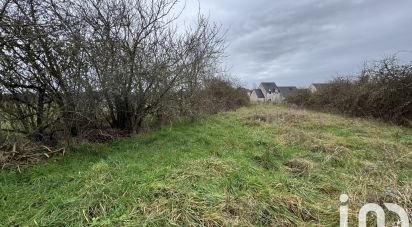 Terrain de 1 132 m² à Amboise (37400)