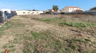 Land of 1,146 m² in Villelongue-de-la-Salanque (66410)