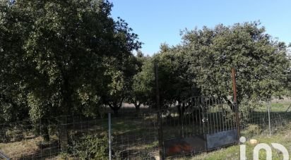 Truffle of 1,368 m² in Sainte-Cécile-les-Vignes (84290)