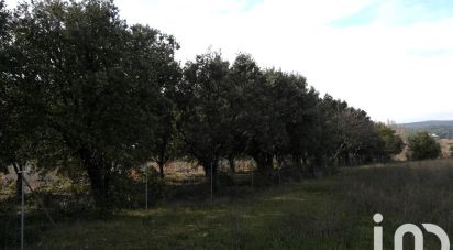 Truffle of 1,368 m² in Sainte-Cécile-les-Vignes (84290)