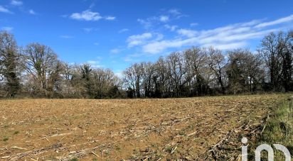 Land of 4,396 m² in Paulin (24590)