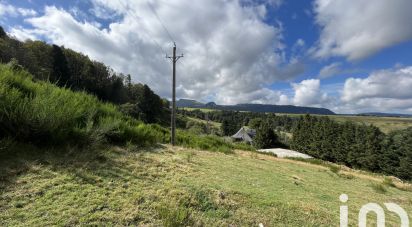 Land of 14,000 m² in LE MONT-DORÉ (63240)