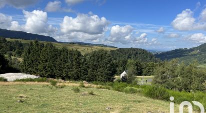 Land of 14,000 m² in LE MONT-DORÉ (63240)