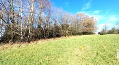 Terrain de 4 300 m² à Saint-Yrieix-la-Perche (87500)