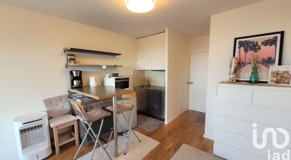 Appartement 1 pièce de 24 m² à Seignosse (40510)