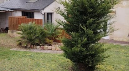 Longère 7 pièces de 165 m² à Langeais (37130)