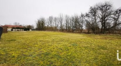 Land of 1,117 m² in Plichancourt (51300)