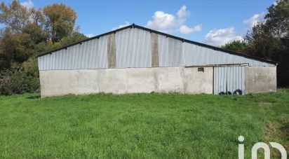 Terrain de 3 889 m² à Tigny-Noyelle (62180)