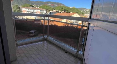 Studio 1 room of 20 m² in Cavalaire-sur-Mer (83240)