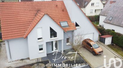 Maison 7 pièces de 162 m² à Dahlenheim (67310)