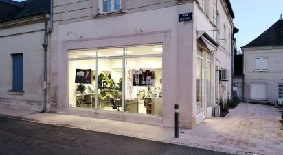 Business premises of 40 m² in Chouzé-sur-Loire (37140)