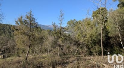 Terrain de 1 459 m² à Roquefort-les-Pins (06330)