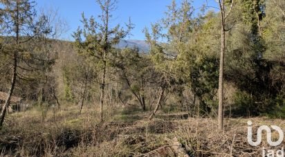 Terrain de 1 459 m² à Roquefort-les-Pins (06330)