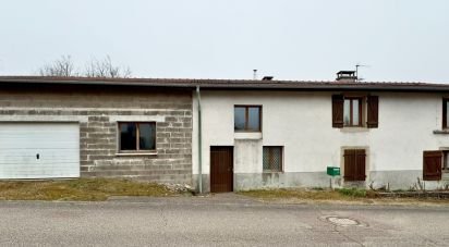 House 4 rooms of 114 m² in Hadigny-les-Verrières (88330)