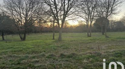 Leisure land of 19,400 m² in Malviès (11300)