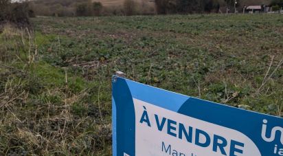 Terrain de 3 707 m² à Faverelles (45420)