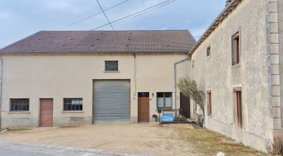 Maison 5 pièces de 139 m² à Brixey-aux-Chanoines (55140)