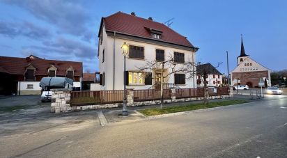 Retail property of 412 m² in Jebsheim (68320)