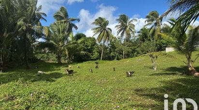 Terrain de 2 037 m² à Morne-à-l'Eau (97111)