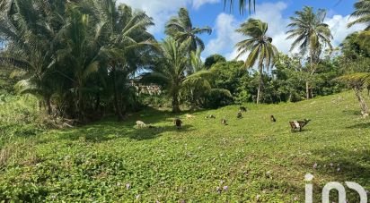 Land of 2,037 m² in Morne-à-l'Eau (97111)