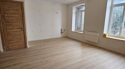 Duplex 3 rooms of 53 m² in Vienne (38200)