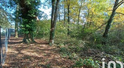 Terrain Loisirs de 11 202 m² à Pruniers-en-Sologne (41200)