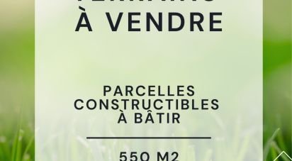 Terrain de 552 m² à Condé-sur-Marne (51150)