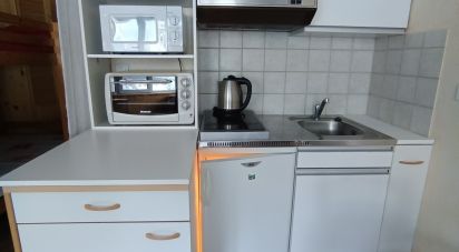 Studio 1 pièce de 23 m² à Laveissière (15300)