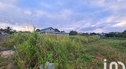 Terrain de 800 m² à Anse-Bertrand (97121)