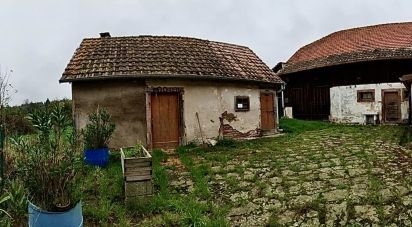 Farm 5 rooms of 130 m² in La Vancelle (67730)