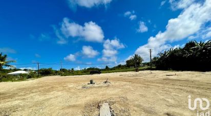 Terrain de 500 m² à Anse-Bertrand (97121)