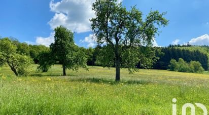 Terrain de 1 982 m² à Bendorf (68480)