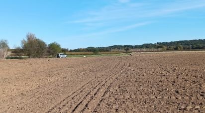 Terrain agricole de 42 827 m² à Saint-Nazaire-d'Aude (11120)