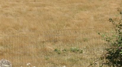 Terrain de 3 000 m² à Ambarès-et-Lagrave (33440)